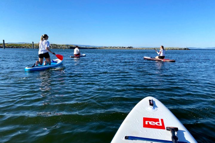 a group of people rowing a boat in a body of water