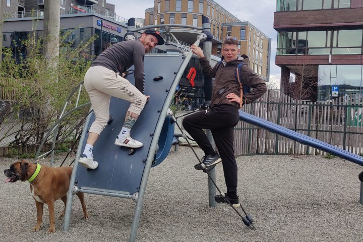 a person petting a dog