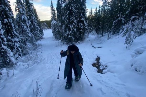 a man is cross country skiing in the snow