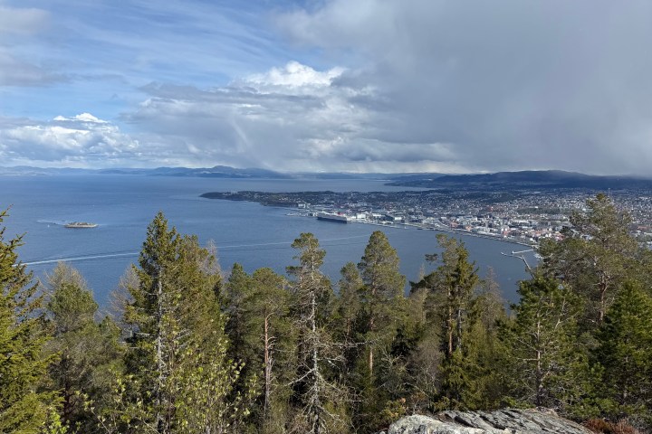 Overlooking a coastal city with trees in the foreground and cloudy sky.