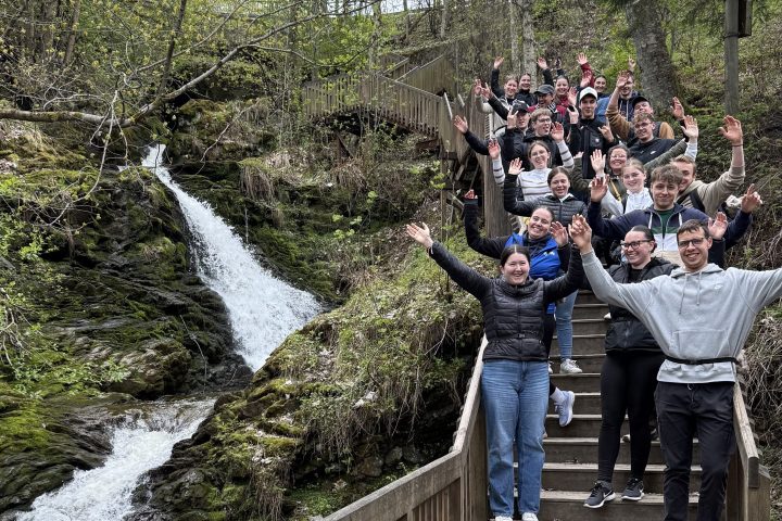 Group of people on wooden stairs by a small waterfall in a forest area.