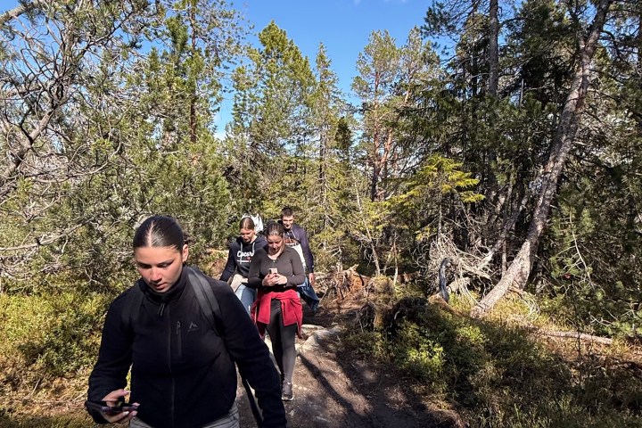 Three people hiking on a forest trail under a clear blue sky.