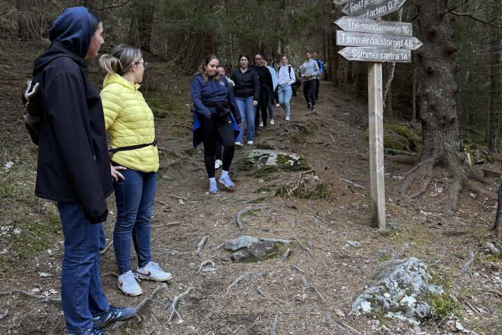 Group of people standing on a forest trail beside a signpost.