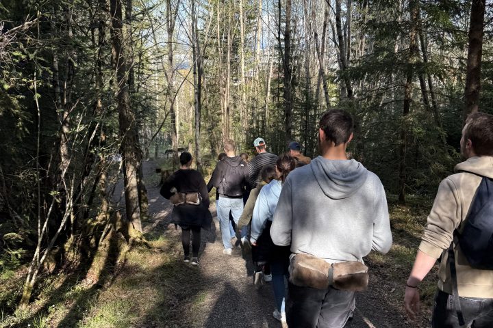 Group of people walking on a forest path.