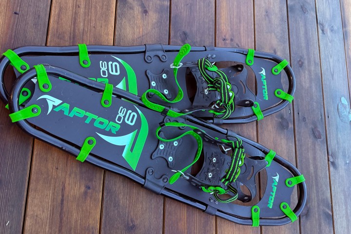 Pair of black and green snowshoes with the label 'Raptor' on wooden surface.