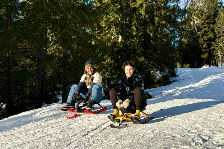 Two people sledding on a snowy path surrounded by tall trees in sunlight.