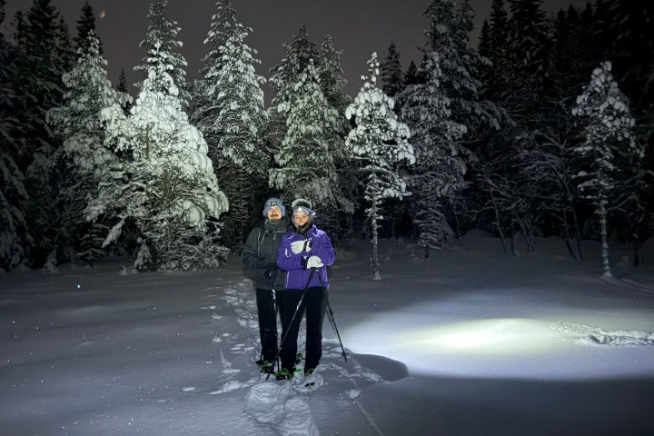 Two people in snowshoes under a spotlight in a snowy forest at night.