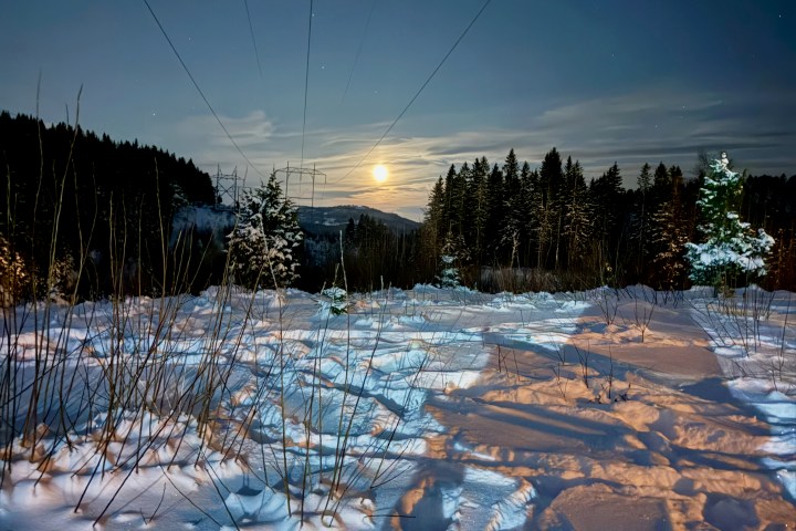 Snowy landscape at night with moon, power lines, and forest.