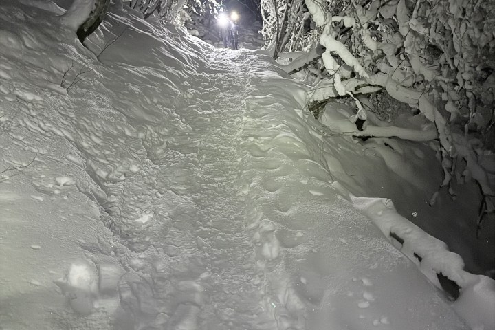 Path through snow-covered trees illuminated by headlights in a forest at night.