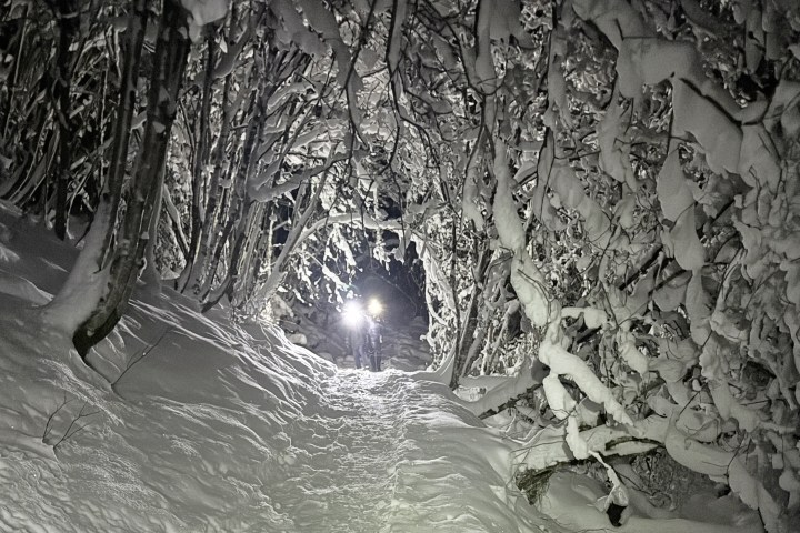 Person with headlamp walking through snowy forest path at night.
