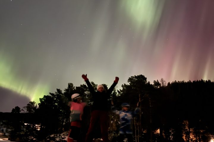 People ice skating under vibrant green and purple northern lights in a nighttime forest setting.